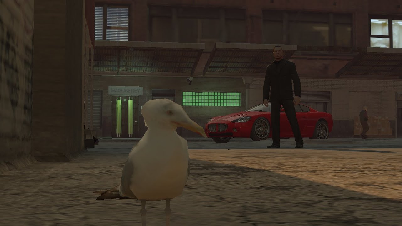 Seagull 2